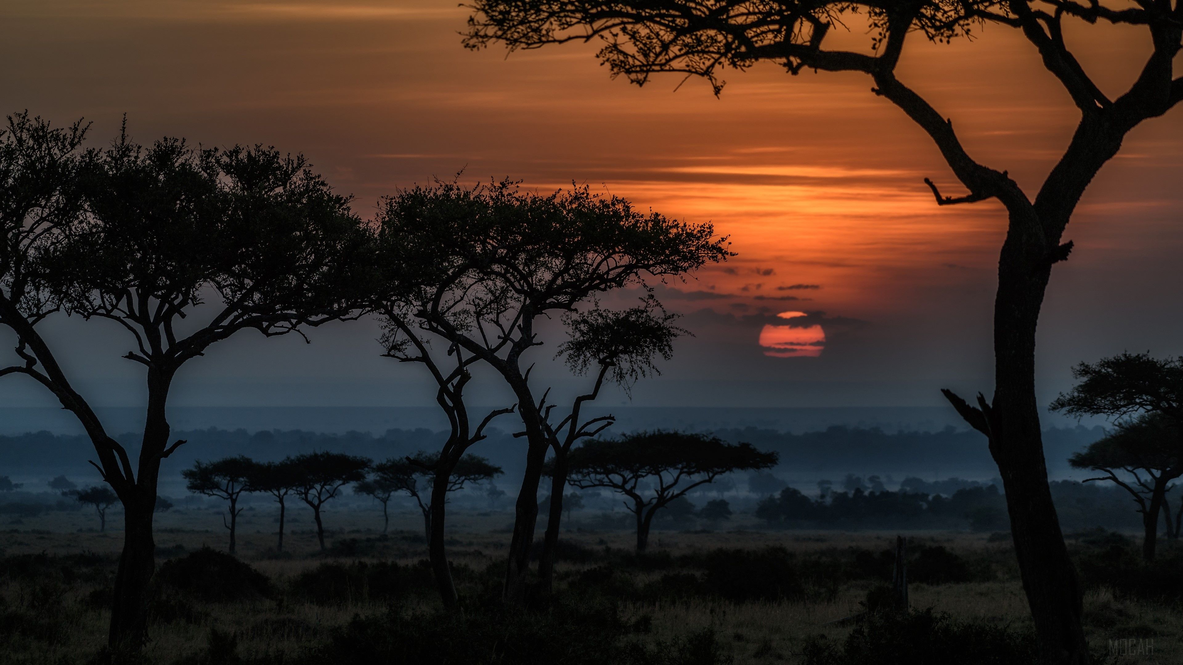 A scenic landscape in Africa