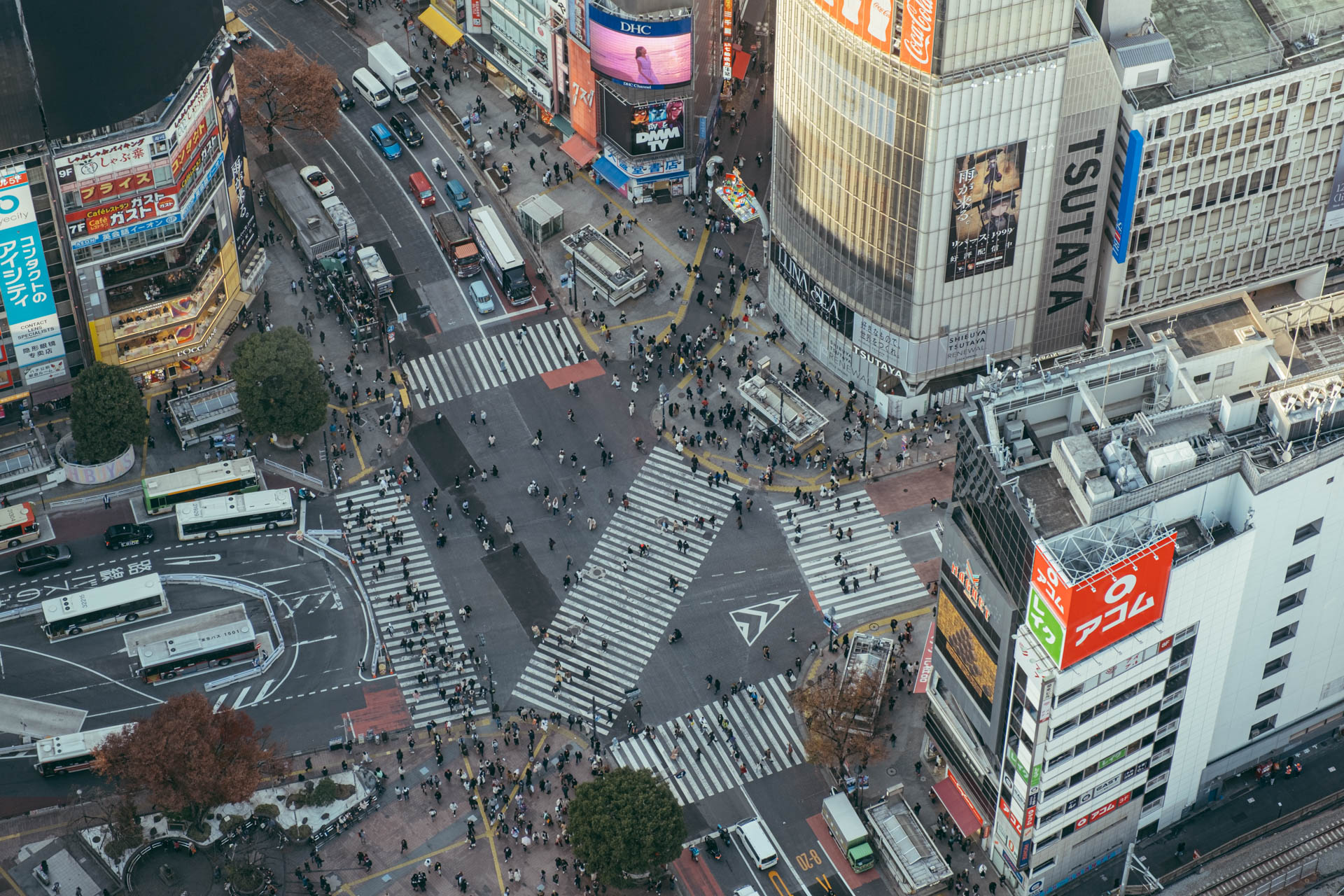 A bird's eye view of the Shibuya Scramble Crossing from an observation deck.