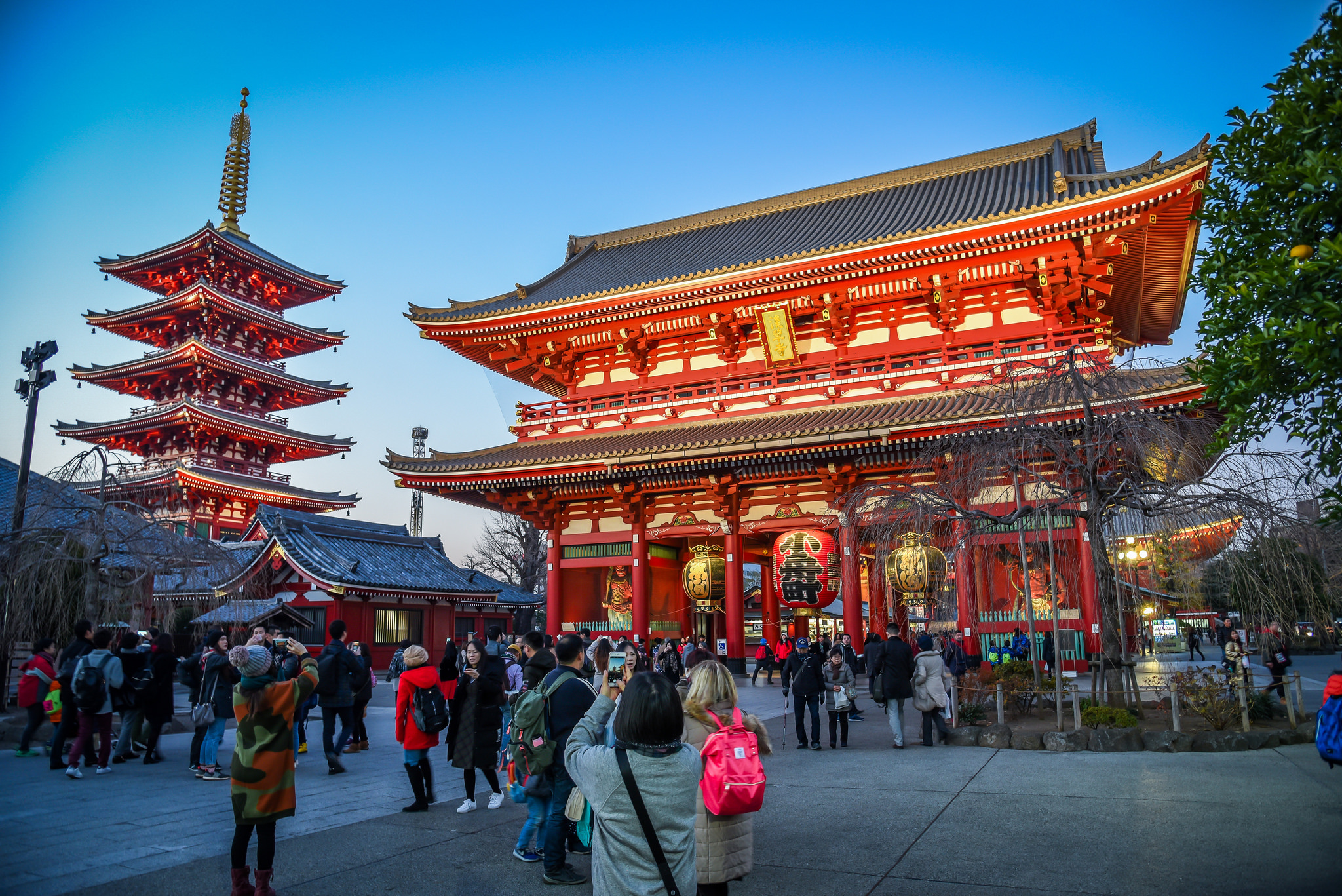 A tranquil view of the Senso-ji Temple in Asakusa, with its iconic red pagoda towering over the traditional street, bathed in the soft glow of lanterns at dusk.