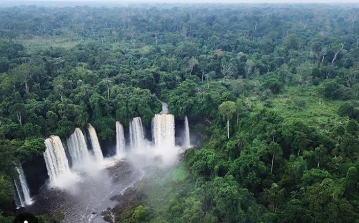 A lush, green Nigerian landscape