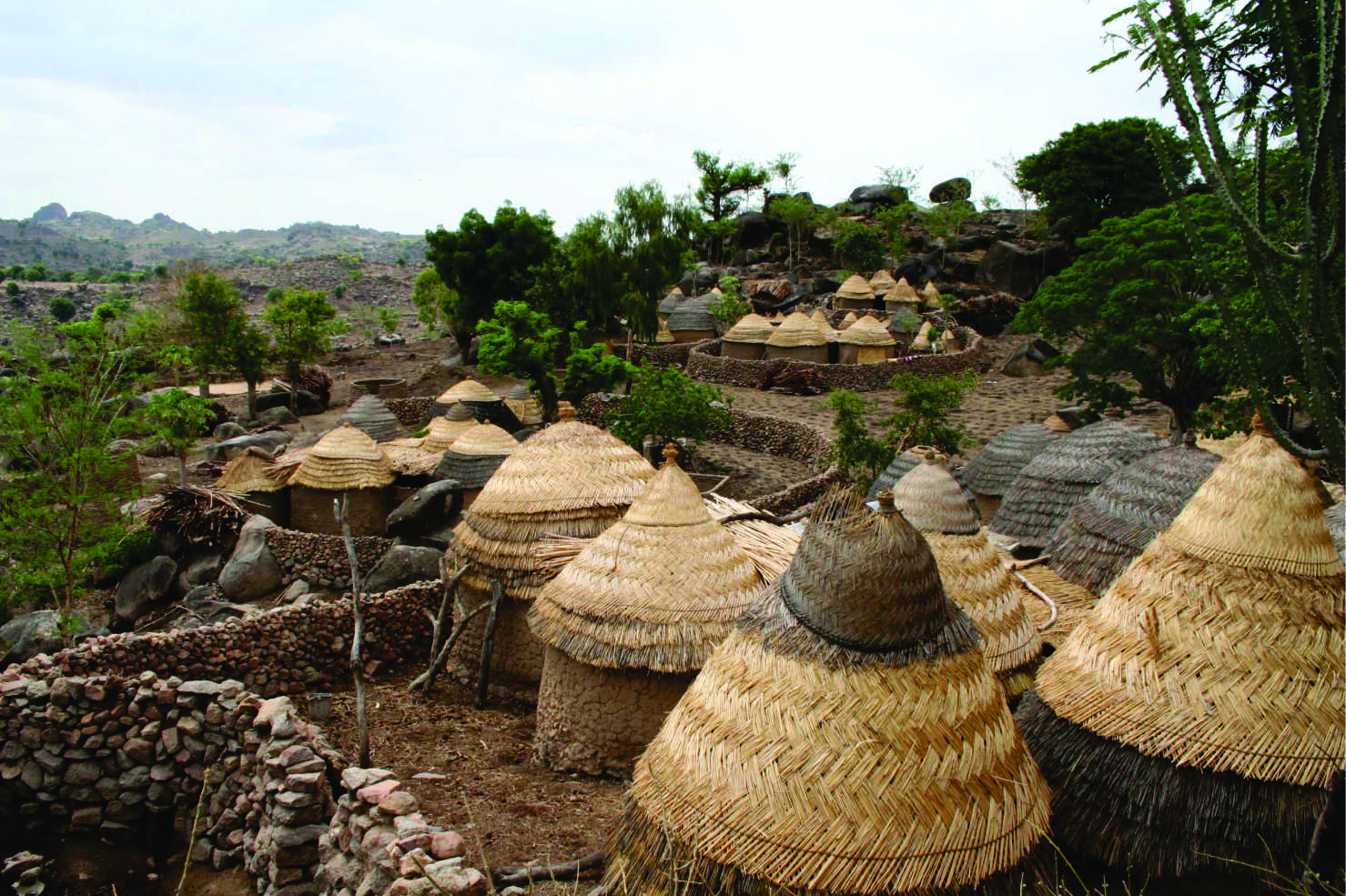 Terraced farms and palace at Sukur