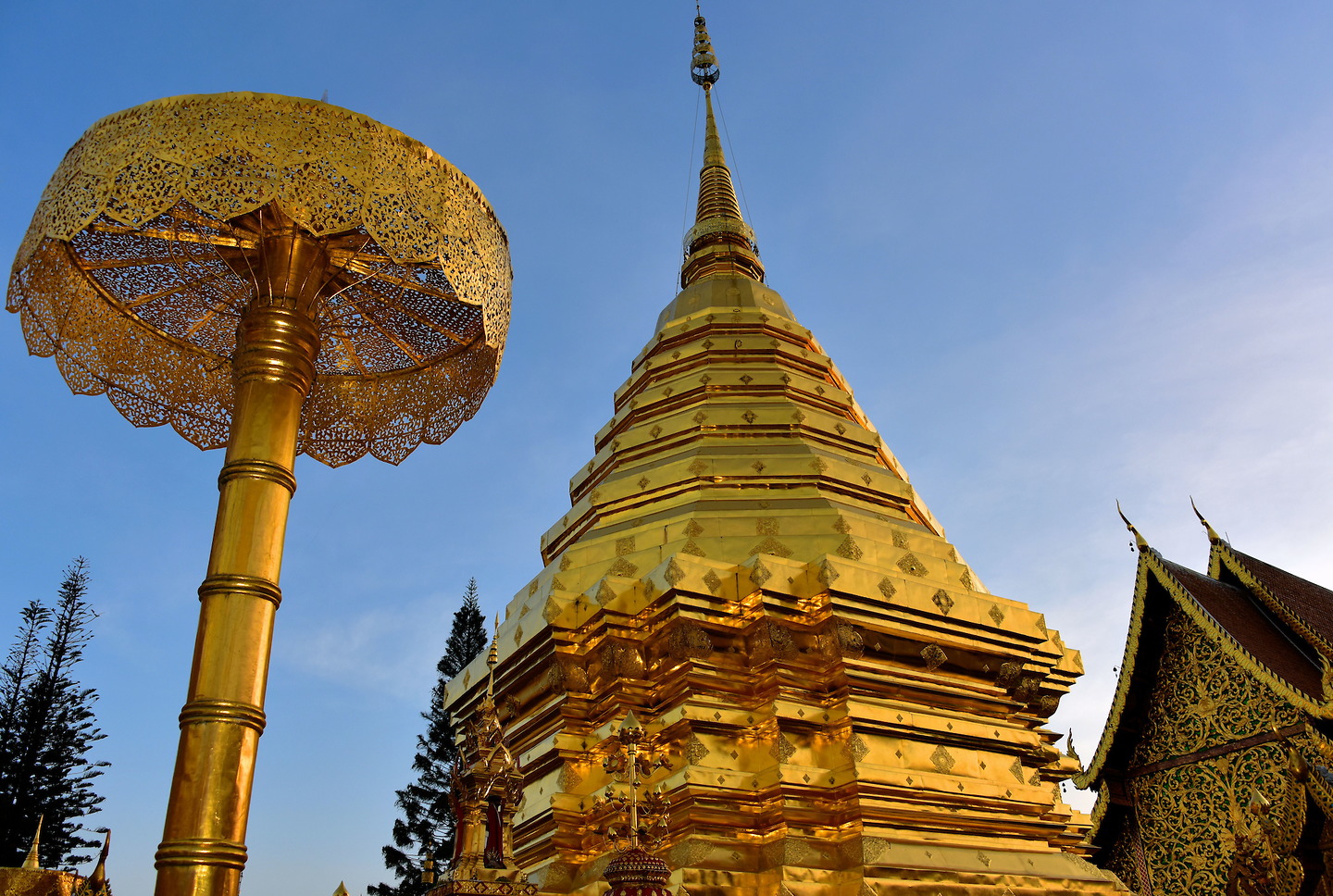 The iconic golden chedi of Wat Doi Suthep, shimmering in the sun.