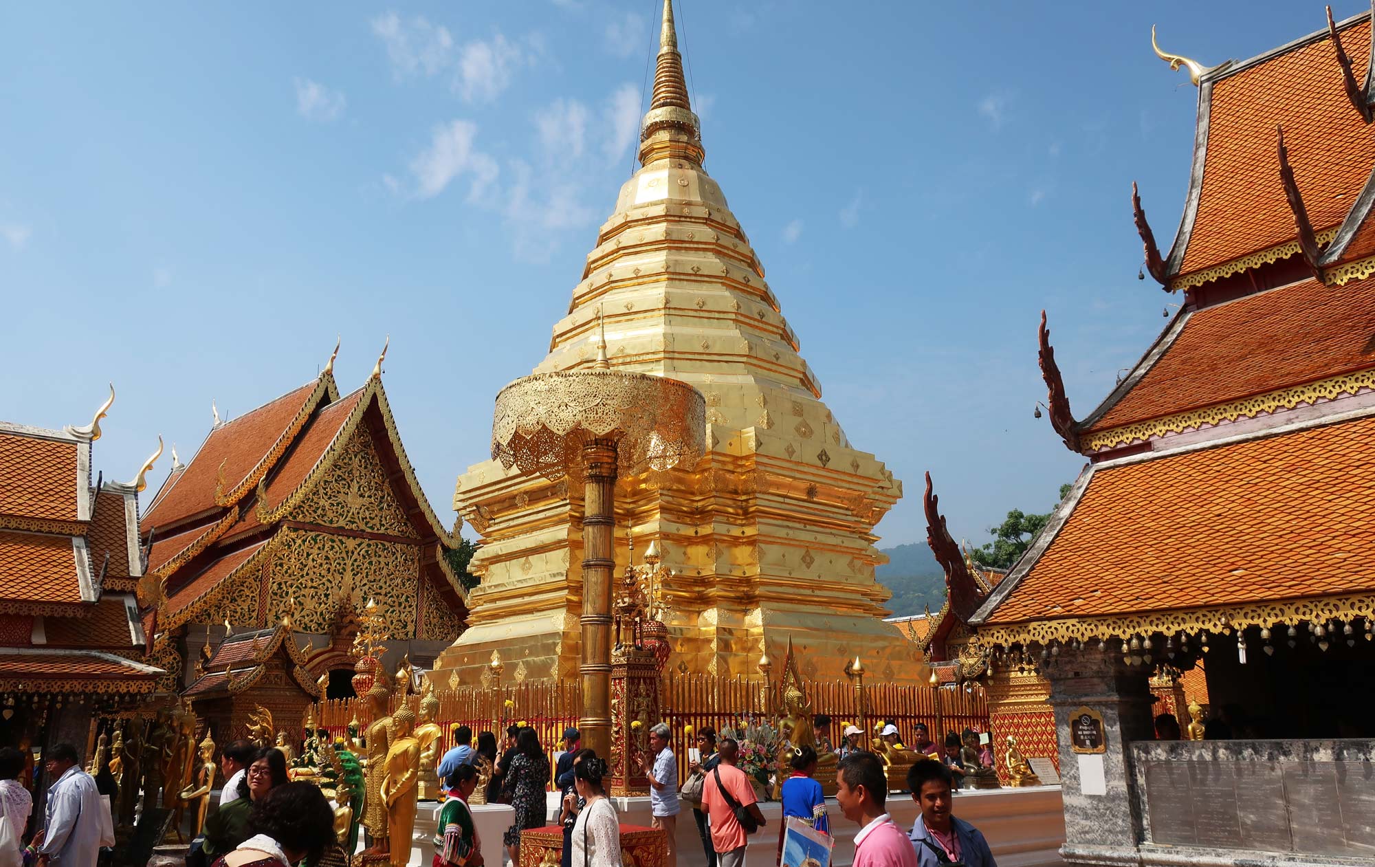 The shimmering golden pagoda of Wat Phra That Doi Suthep on a mountaintop.