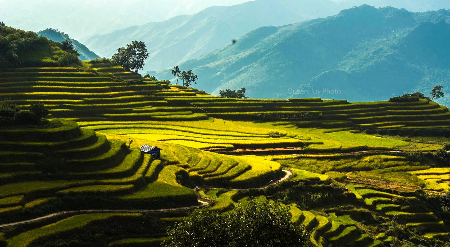 sapa culture